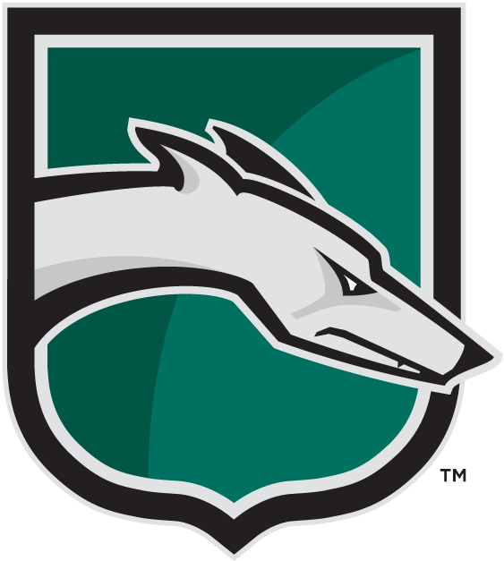 Loyola-Maryland Greyhounds 2002-2010 Alternate Logo 01 iron on paper